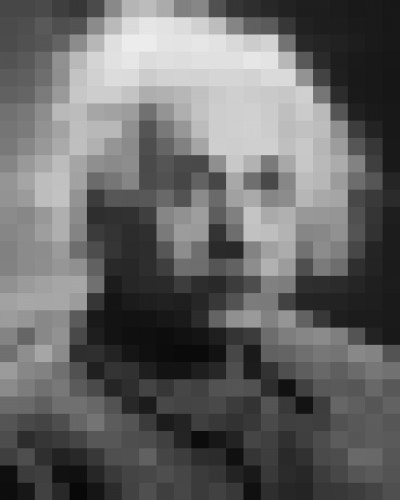 Pixelated portrait