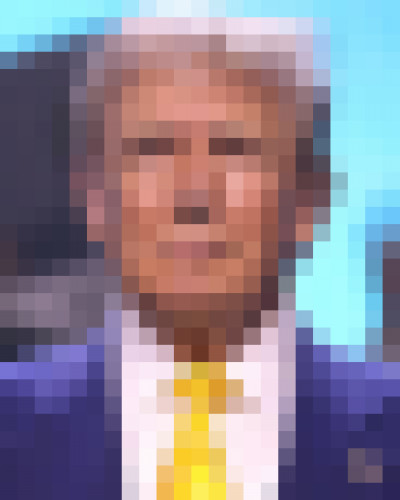 Pixelated portrait